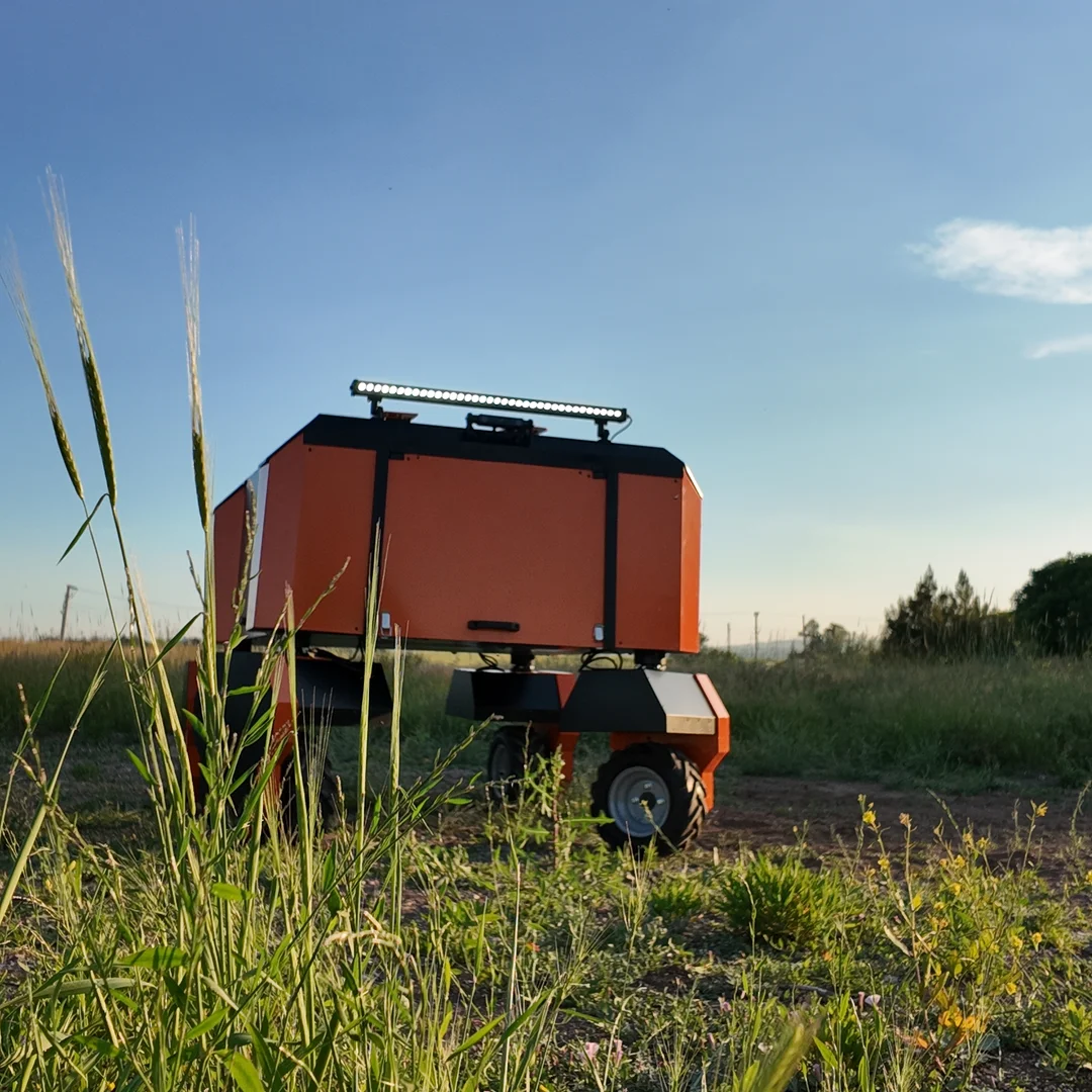 Field trial on open grassland